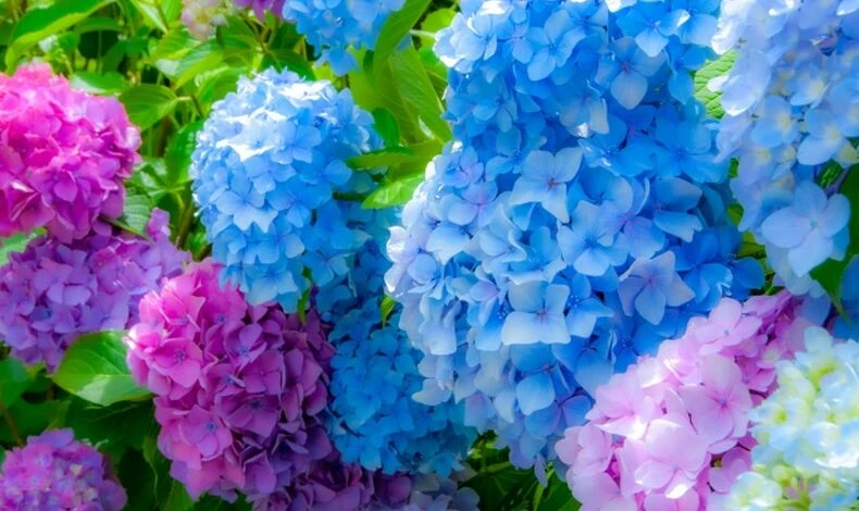 画像5593：雨の日だからこそ分かる、住まいのチェックポイント
