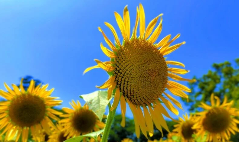 画像5594：夏の終わりに見直したい、家の中のこと5選